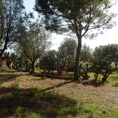 Lecaserosa Depandance Elide Σπίτι διακοπών Santa Domenica (Vibo Valentia)