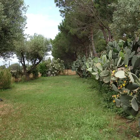 Lecaserosa Depandance Elide *